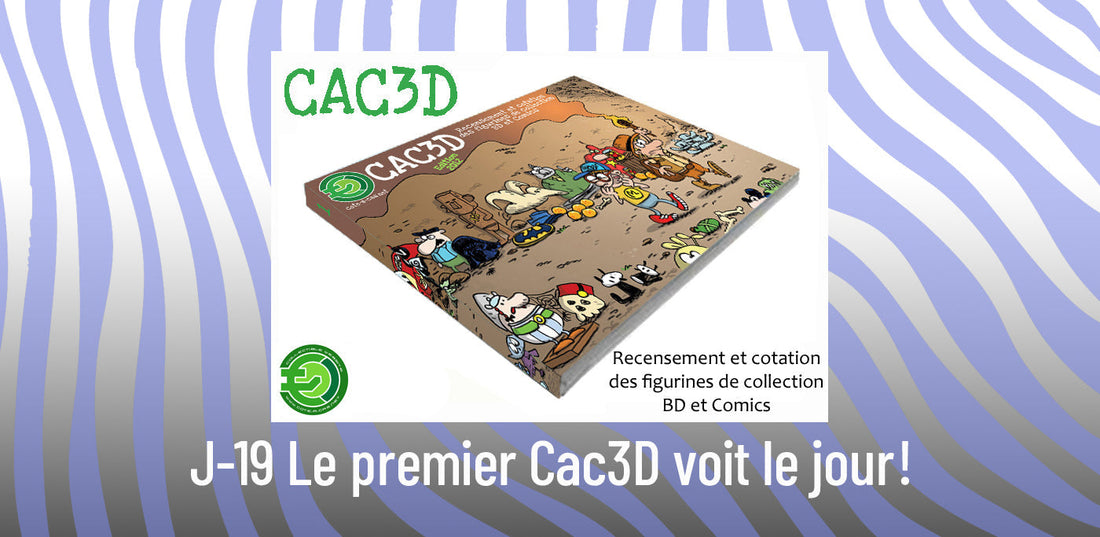 📖 J-19 Le premier Cac3D voit le jour !